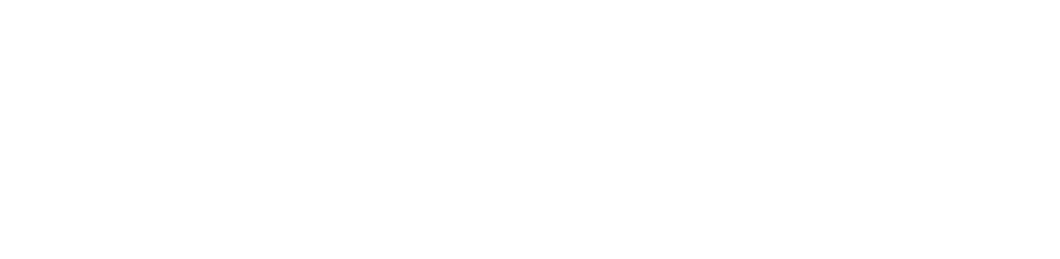 Besser Borgerforening